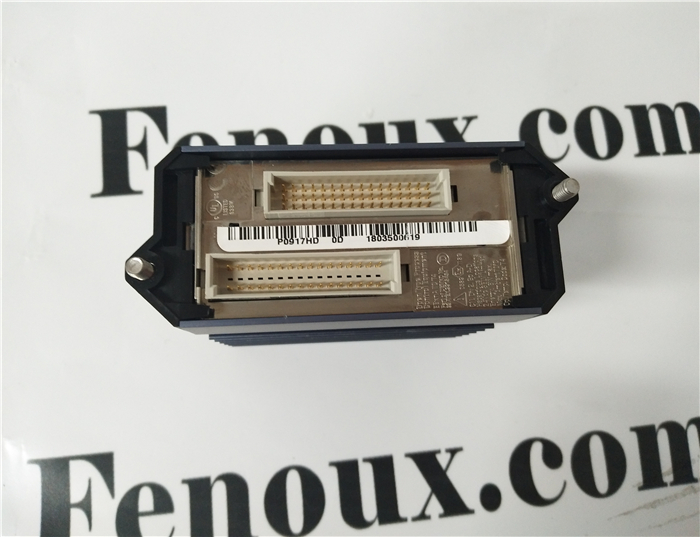 FOXBORO 0303419B  SF0619F427  New Original Genuine Products with One Year Warranty