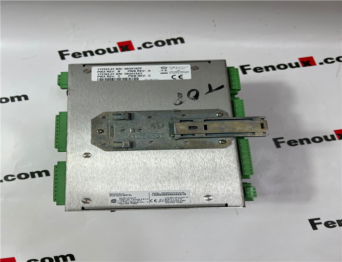 78462-01M Bently Nevada  programmable controller module